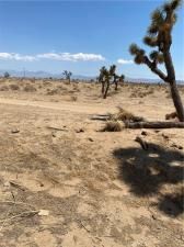 MLS #SR25251430 image #0