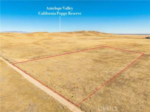 MLS #SR25251591 image #0