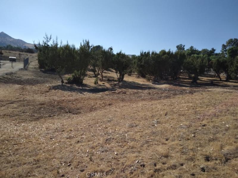 MLS #SR25253899 image #0