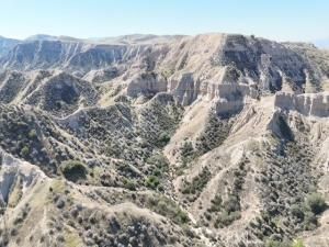 MLS #SR25255998 image #0