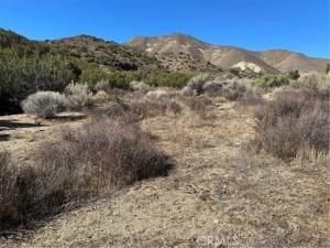 MLS #SR25263699 image #0