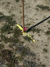 MLS #SR25264151 image #0