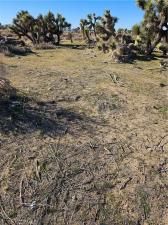 MLS #SR25266653 image #0