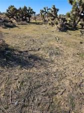 MLS #SR25266653 image #0