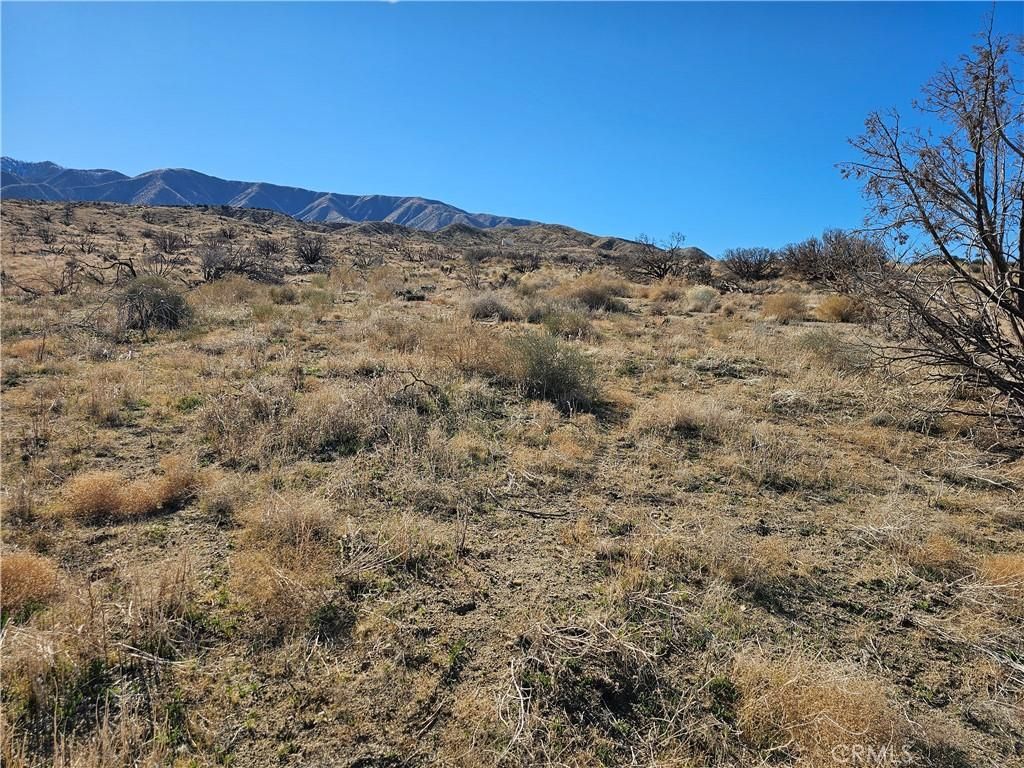 MLS #SR25266658 image #0