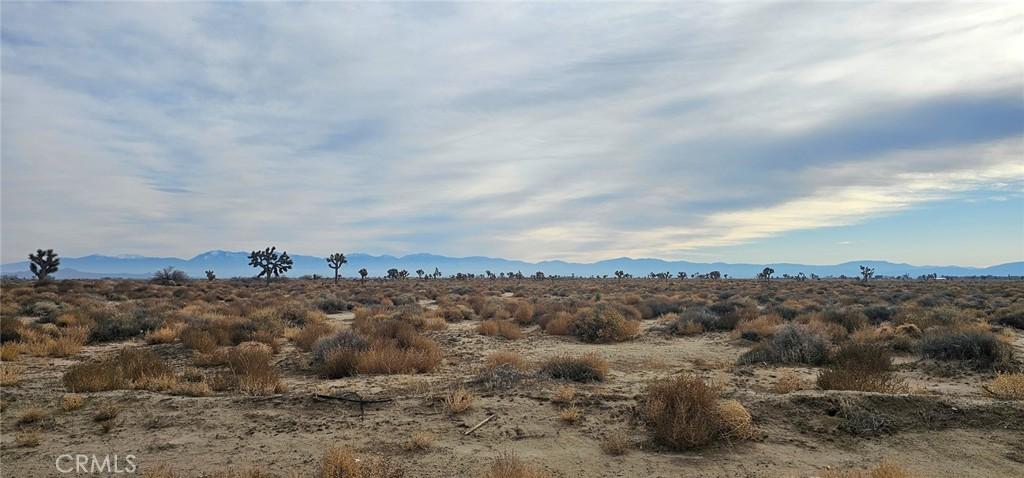 MLS #SR25268646 image #0