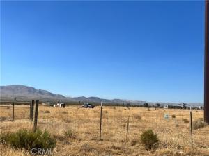 MLS #SR25275120 image #0