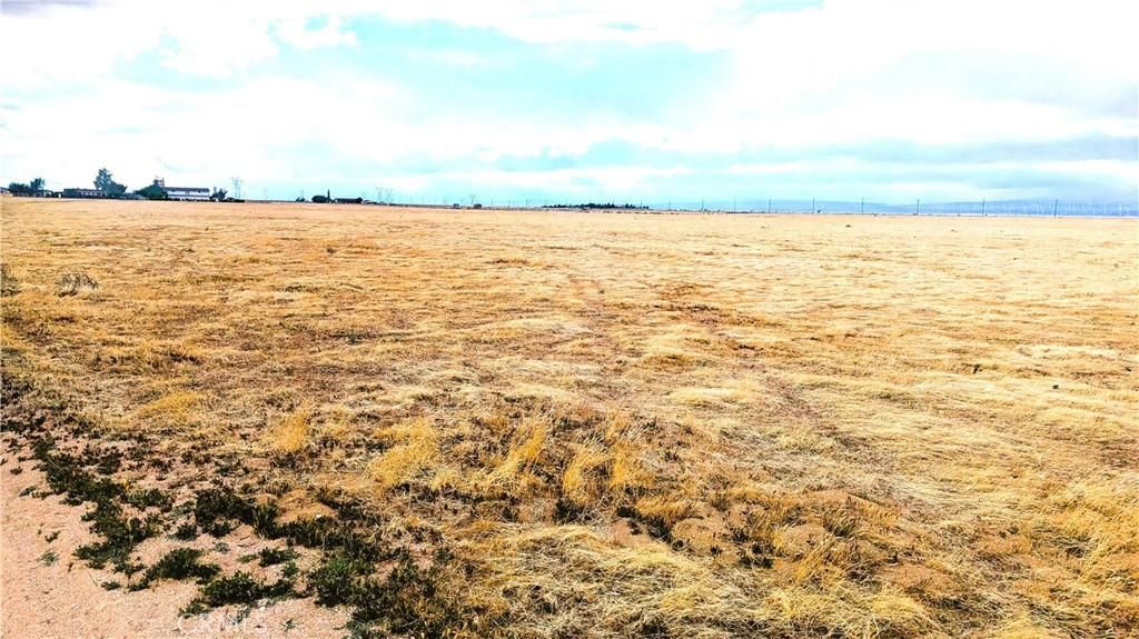 MLS #SR25275946 image #0