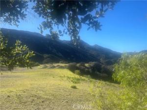 MLS #SR25277719 image #0
