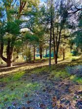 MLS #SR25277954 image #0