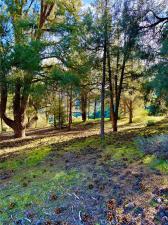 MLS #SR25277954 image #0