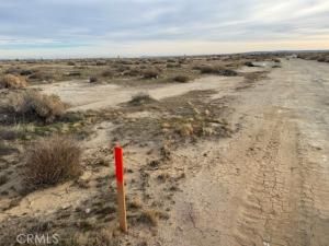 MLS #SR25278358 image #0