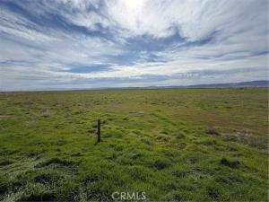 MLS #SR26023799 image #0