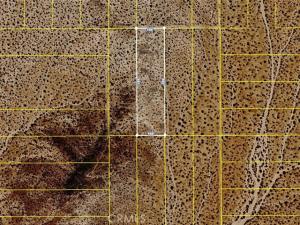 MLS #SR26036396 image #0
