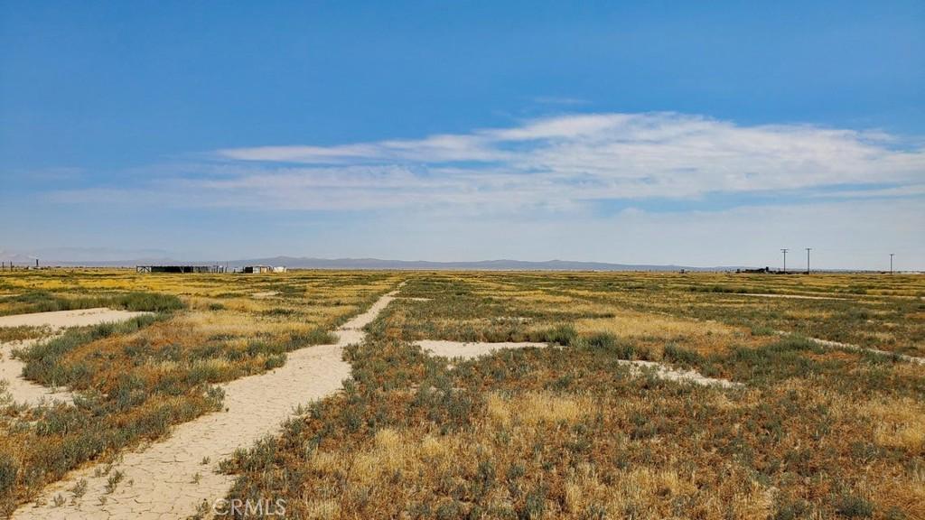 MLS #SR26036562 image #0