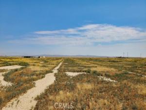 MLS #SR26036562 image #0