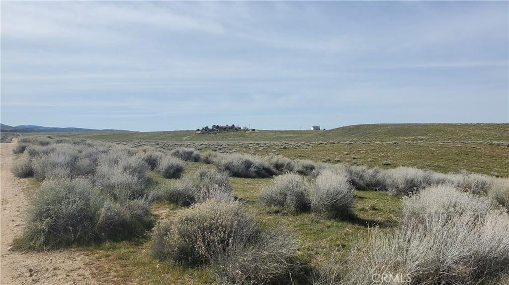 MLS #SR26036697 image #0