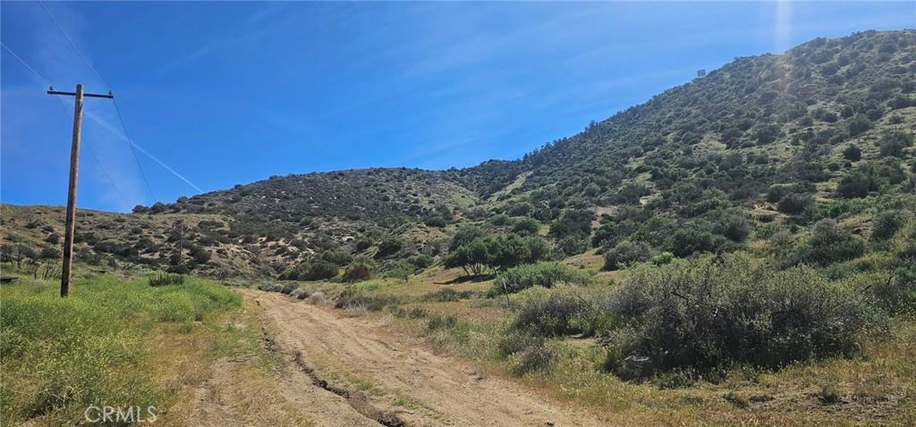 MLS #SR26036804 image #0