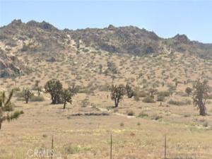 MLS #SR26037099 image #0