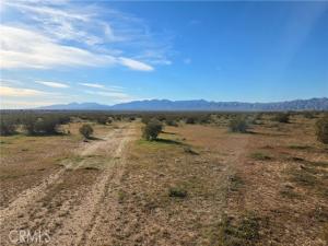 MLS #SR26038379 image #0