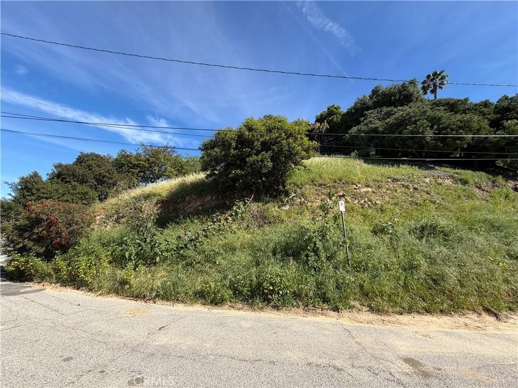 2556 El Rosa DR Los Angeles CA 90065 | MLS #SR26042529 45 MLS #SR26042529 image #0