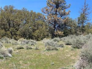 MLS #SR26045405 image #0