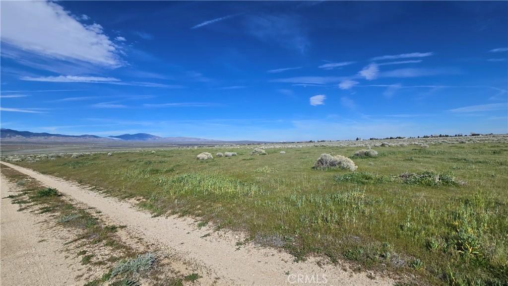 MLS #SR26046646 image #0