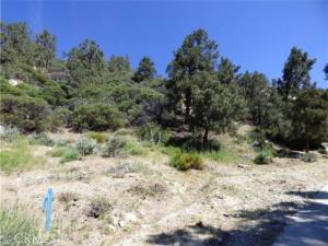 MLS #SR26047273 image #0