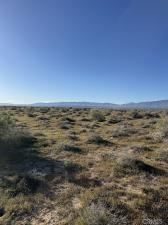 MLS #SR26048802 image #0