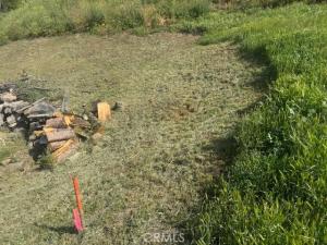 MLS #SR26060962 image #0
