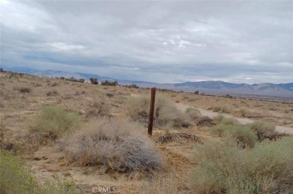 MLS #SR26065545 image #0