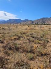 MLS #SR26070929 image #0