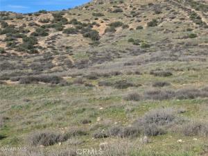 Vic Desert Springs Av Lot 10 Palmdale CA 93551 | MLS #SR26071722 45 MLS #SR26071722 image #0