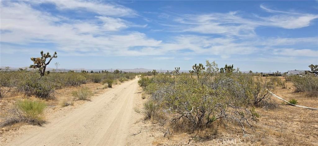 MLS #SR26072626 image #0