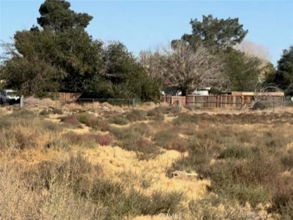 MLS #SR26073409 image #0