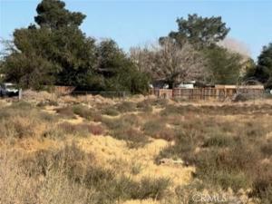 MLS #SR26073409 image #0