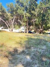 MLS #SR26076559 image #0
