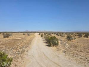 MLS #SR26080622 image #0