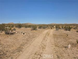 MLS #SR26080622 image #0