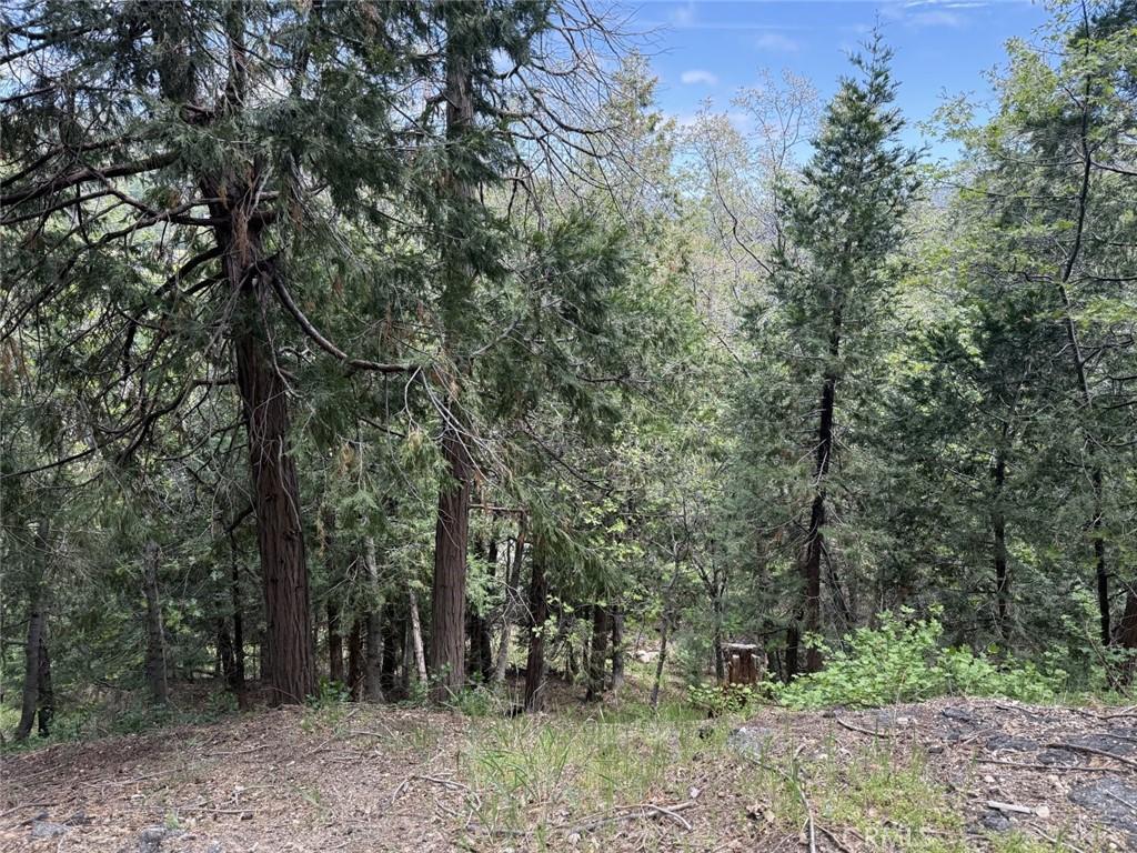 MLS #SR26083495 image #0