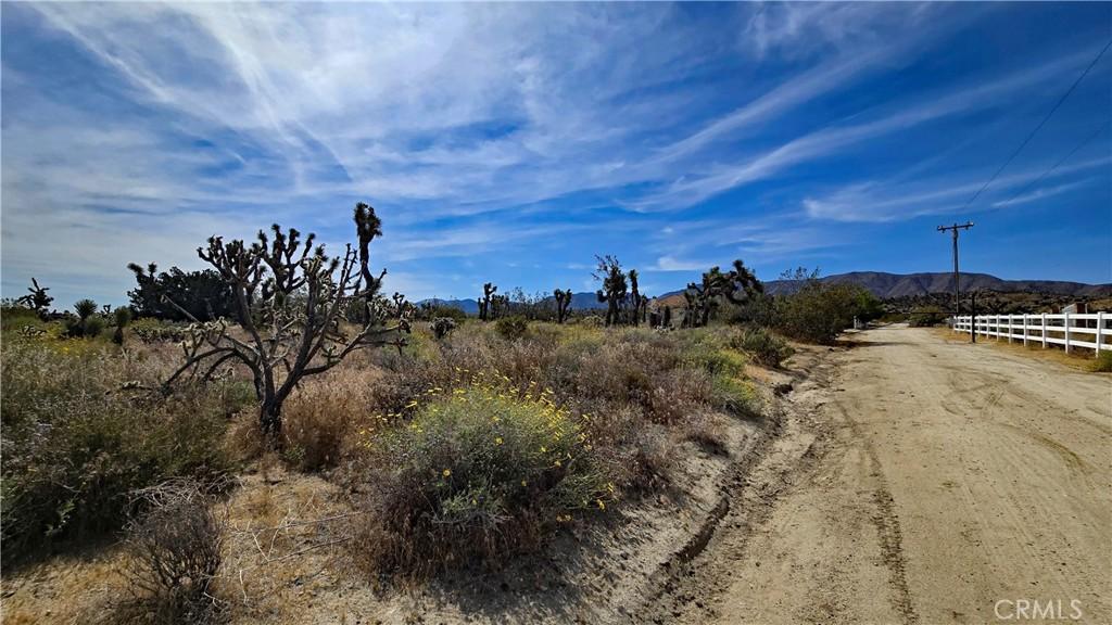 MLS #SR26086205 image #0