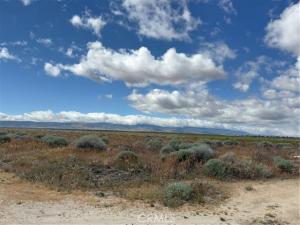 MLS #SR26089227 image #0