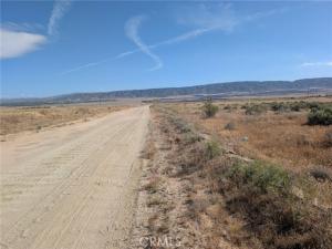 MLS #SR26090256 image #0