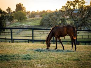 MLS #SR26092904 image #0