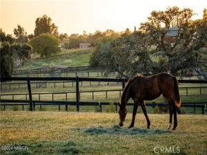 MLS #SR26092904 image #0