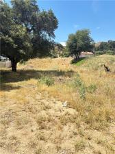 MLS #SR26093785 image #0