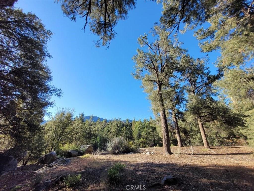 MLS #SR26100693 image #0