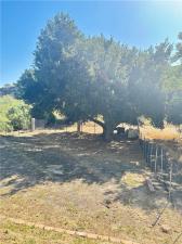 MLS #SR26102714 image #0