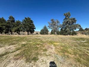 MLS #SR26106074 image #0