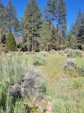 MLS #SR26106425 image #0